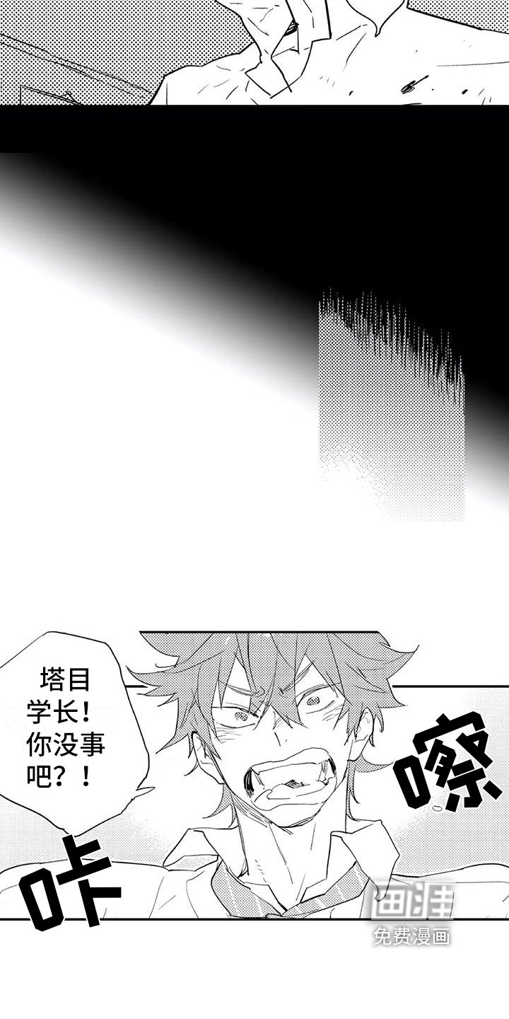 第11章：意义