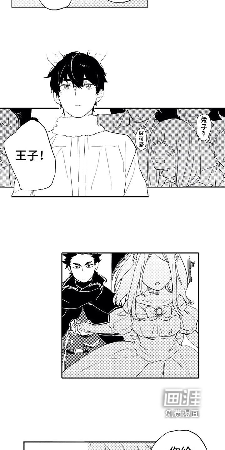 第15章：庆典