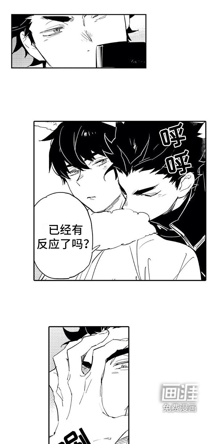 第16章：允许