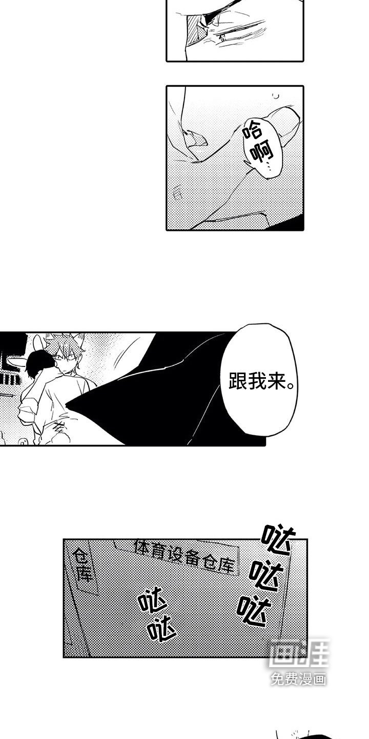 第16章：允许
