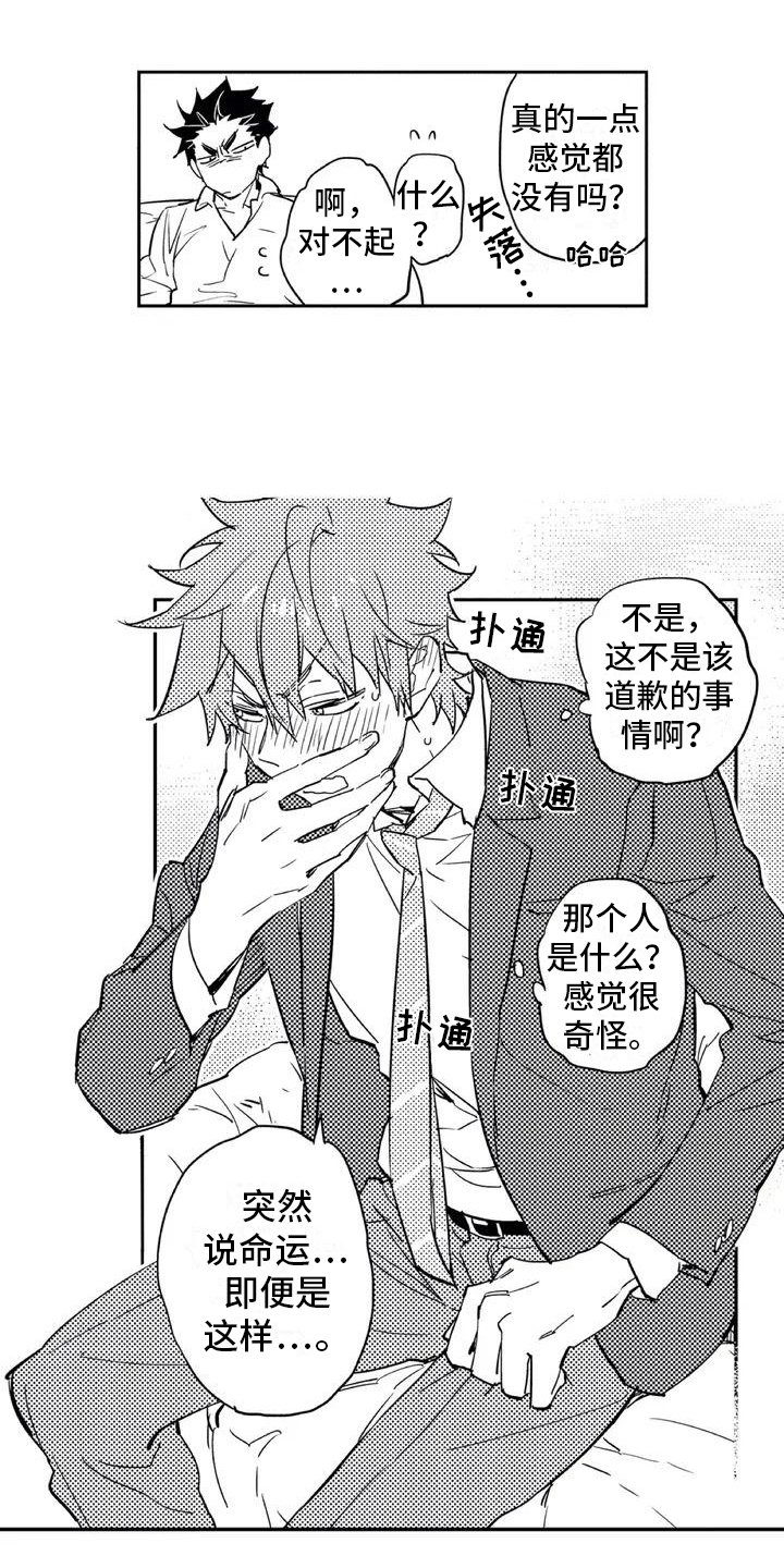 第2章：命运伴侣