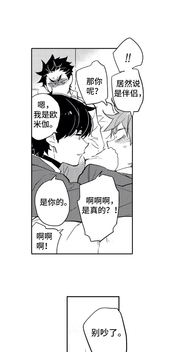 第2章：命运伴侣