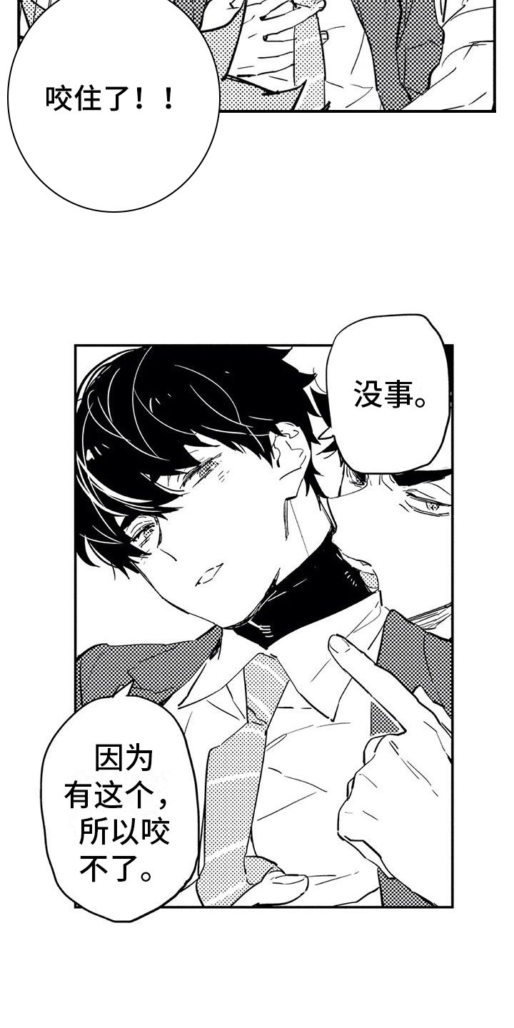 第2章：命运伴侣