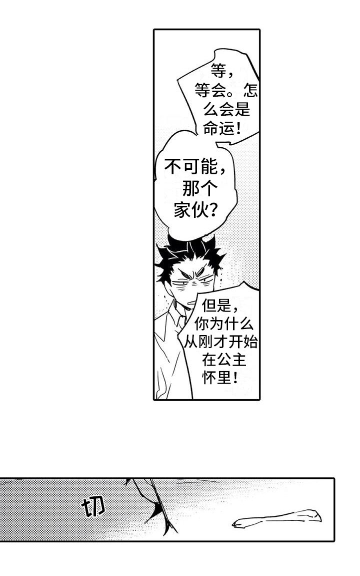 第2章：命运伴侣