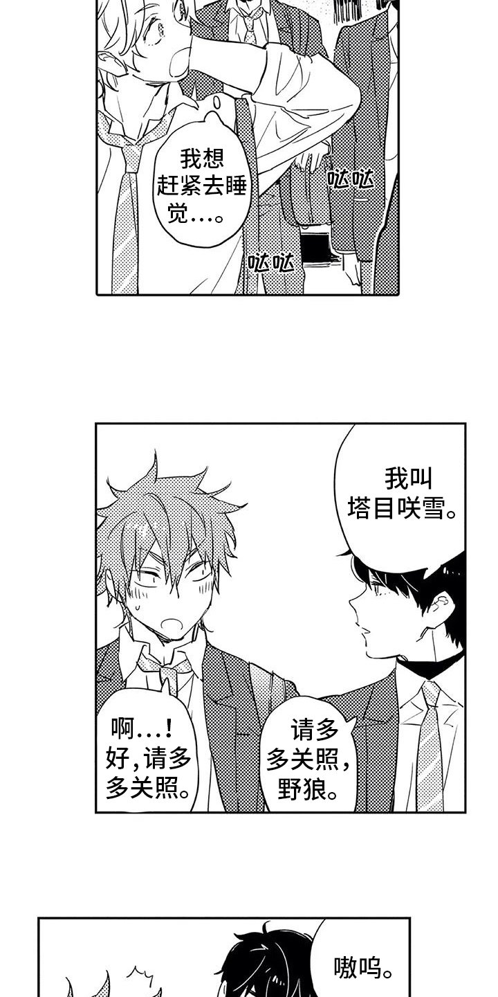 第3章：过夜