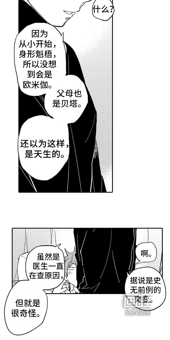 第5章：缺点