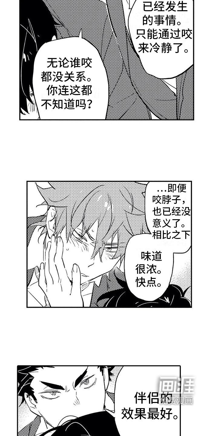 第8章：归属
