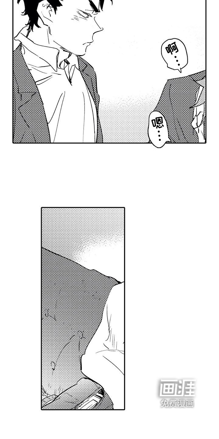 第8章：归属