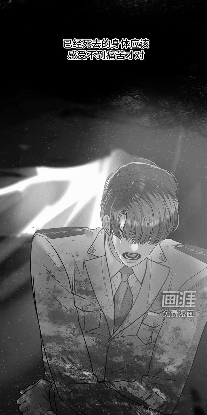 第102章：自由