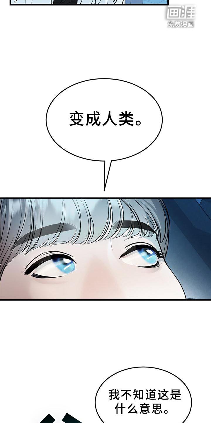 第22章：痛觉
