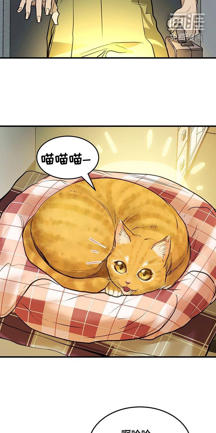 第28章：对猫过敏