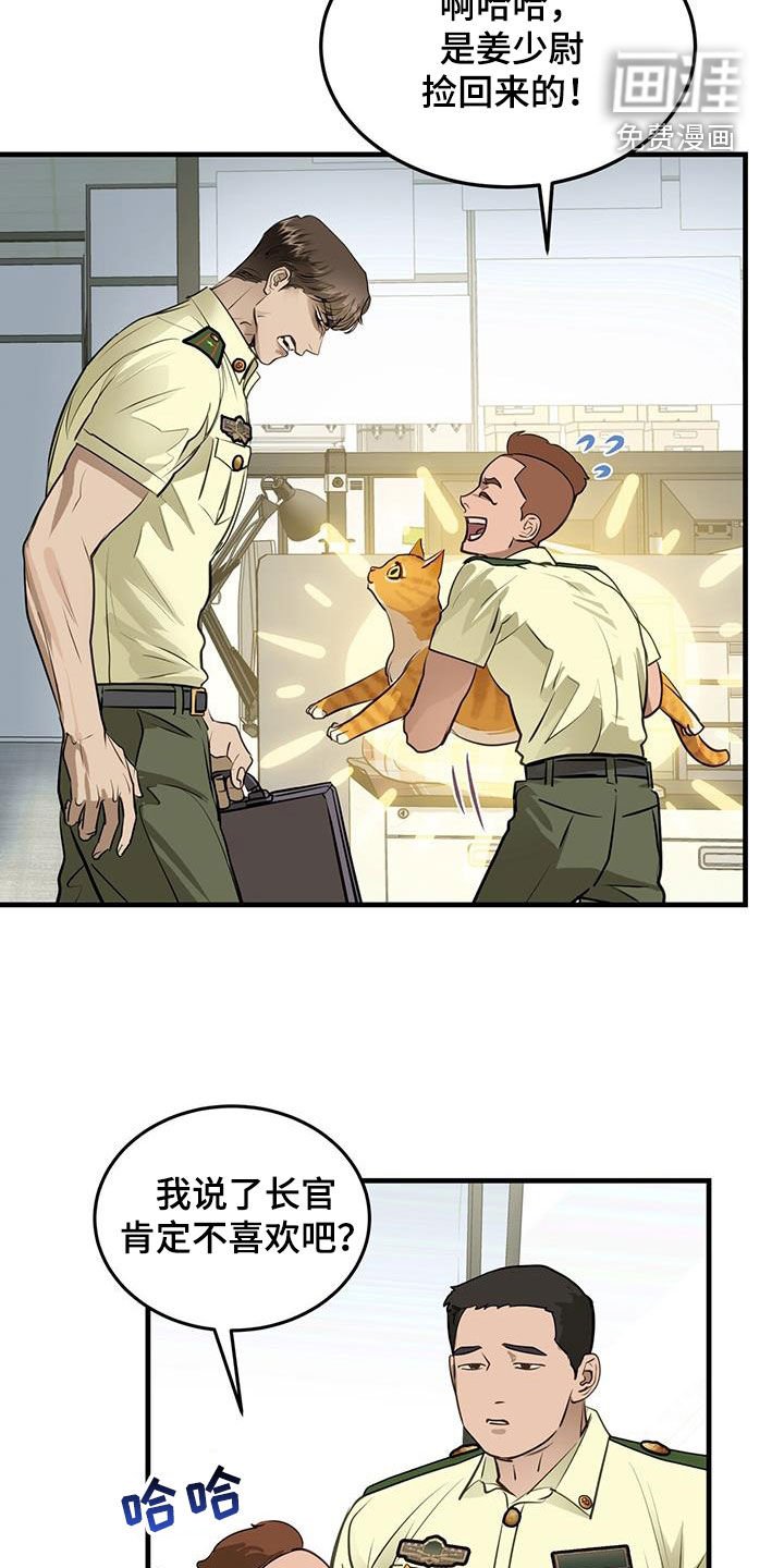 第28章：对猫过敏