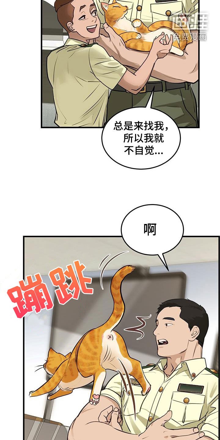 第28章：对猫过敏