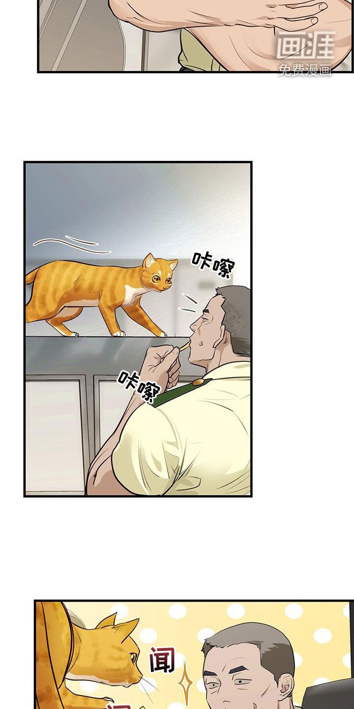 第28章：对猫过敏