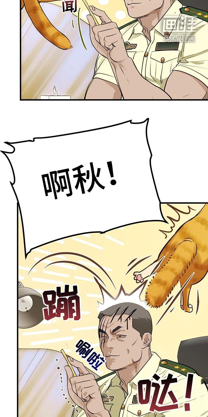 第28章：对猫过敏