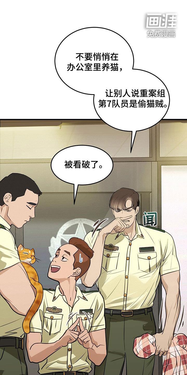 第28章：对猫过敏