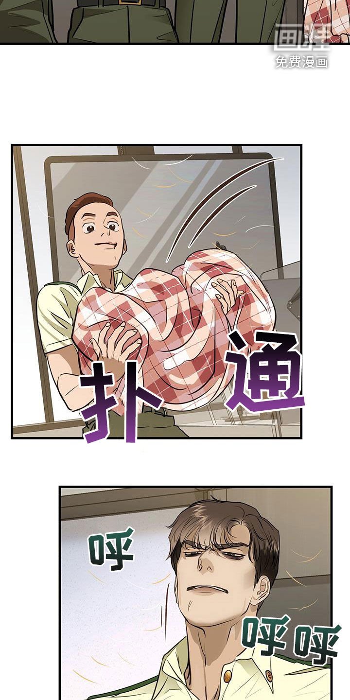 第28章：对猫过敏