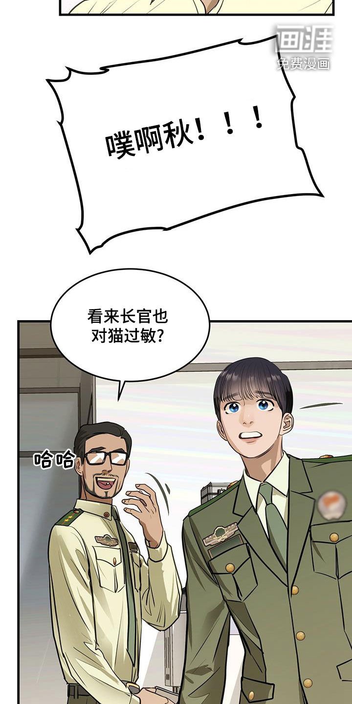 第28章：对猫过敏