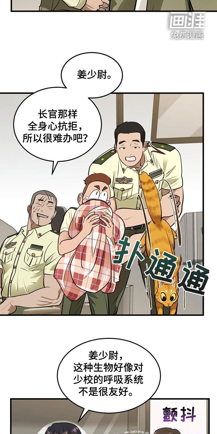 第28章：对猫过敏