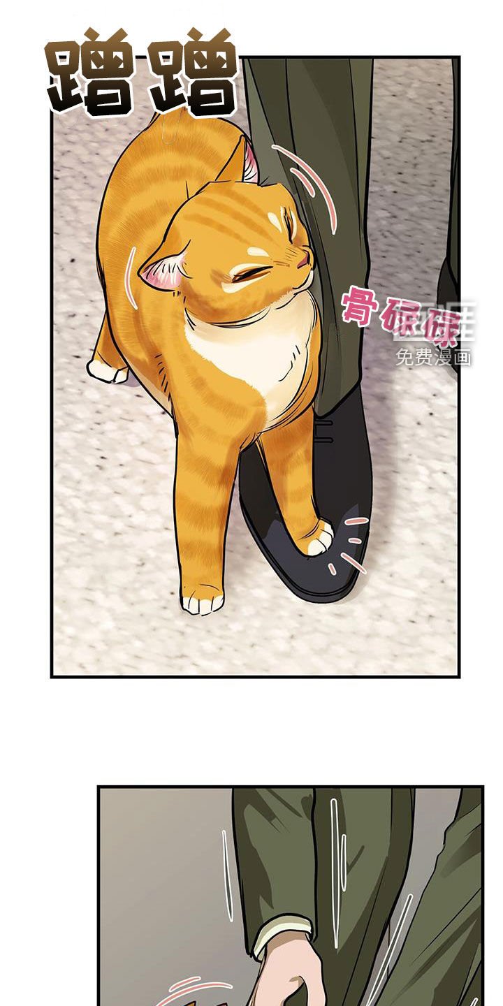 第28章：对猫过敏