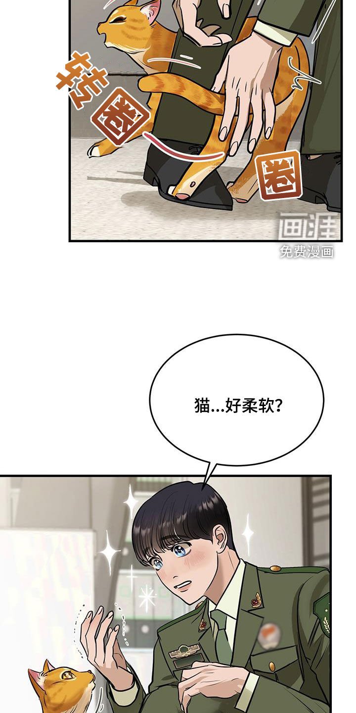 第28章：对猫过敏
