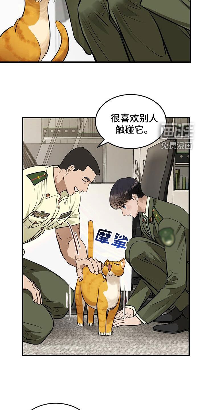 第28章：对猫过敏