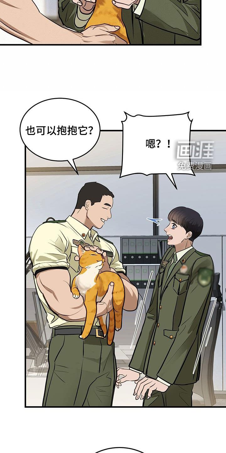 第28章：对猫过敏