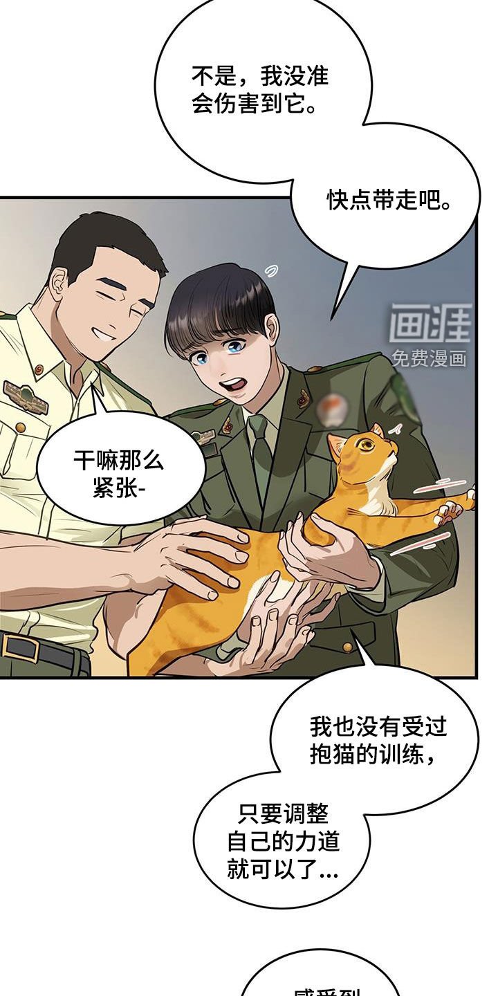 第28章：对猫过敏