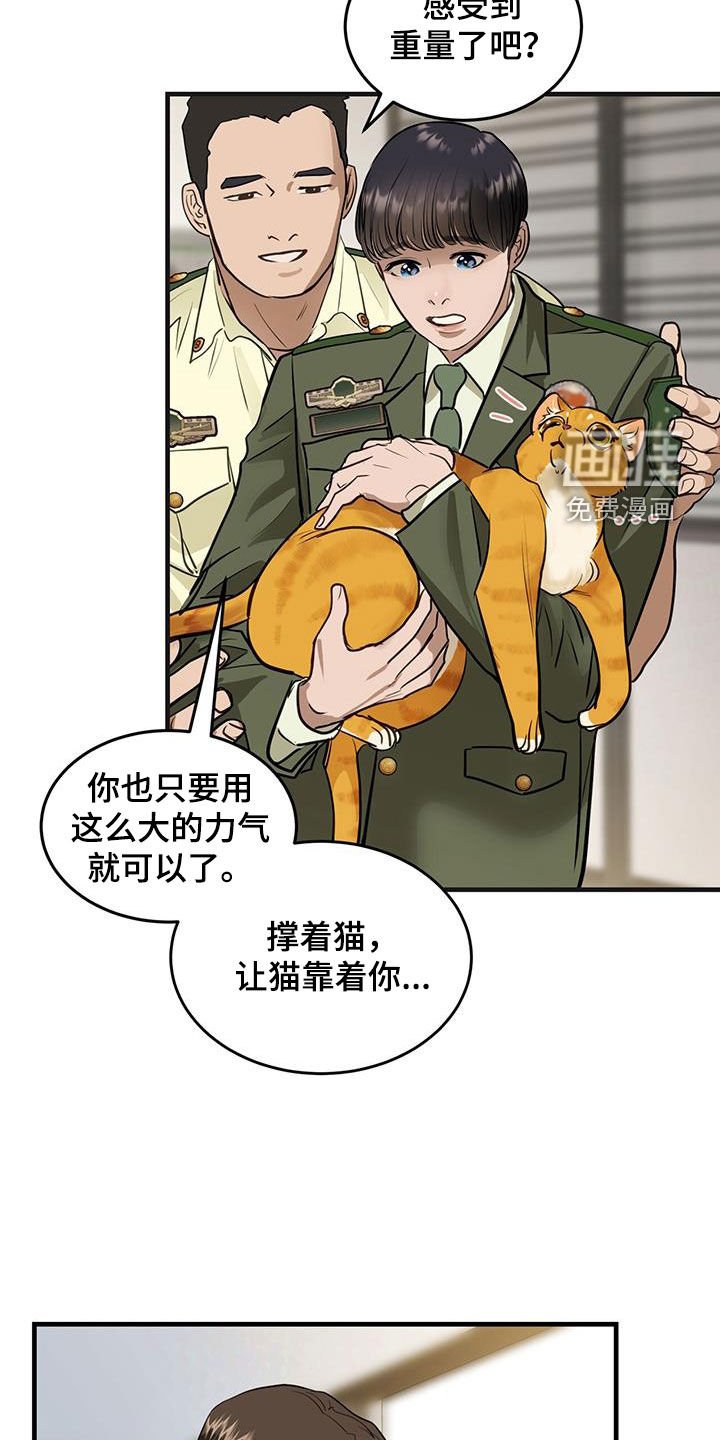 第28章：对猫过敏