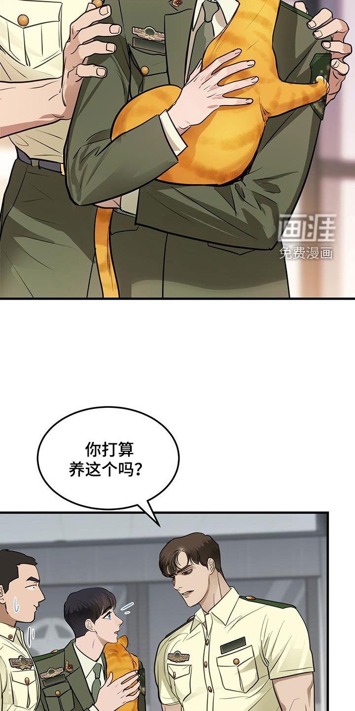 第28章：对猫过敏