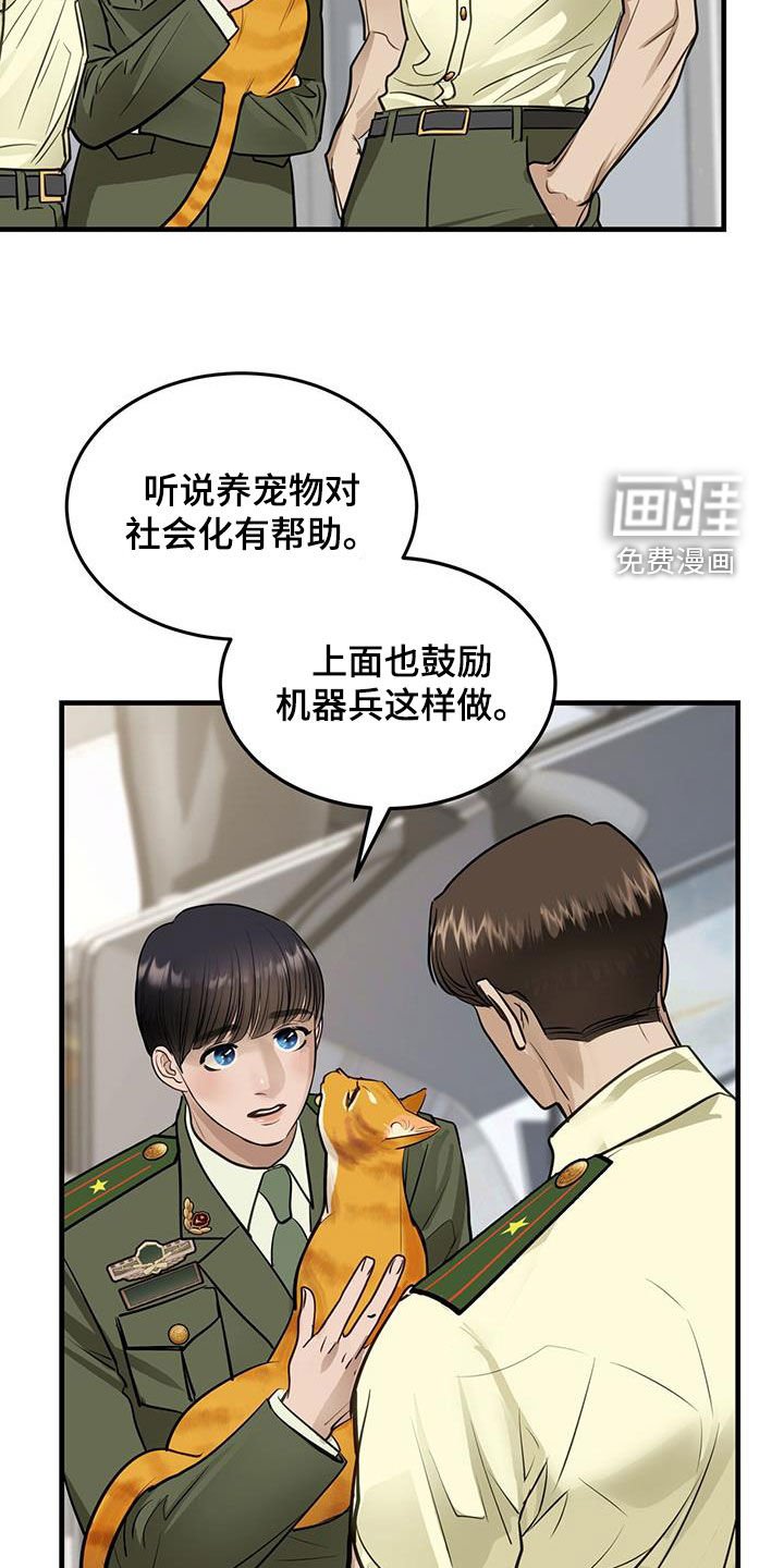 第28章：对猫过敏