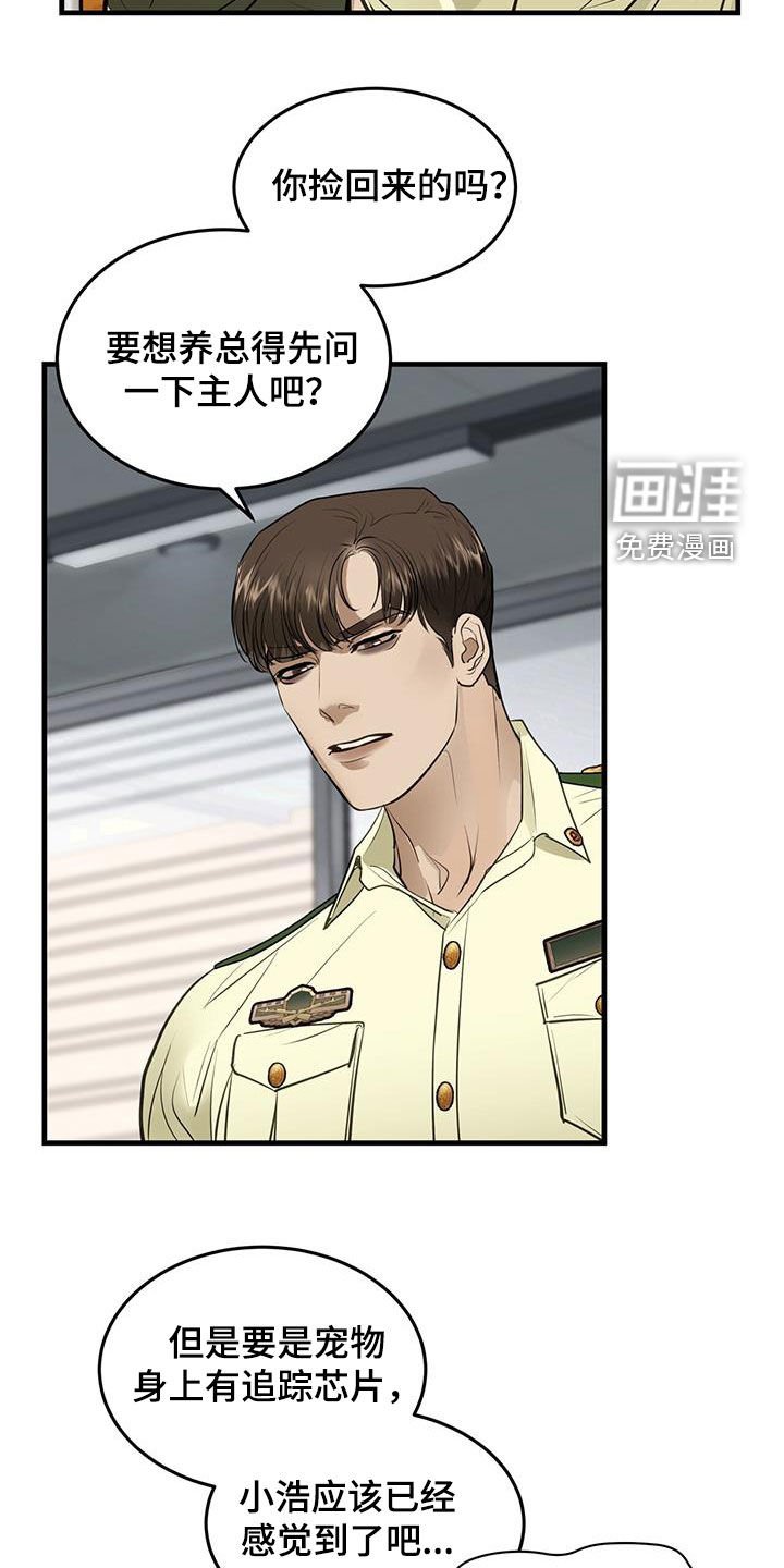 第28章：对猫过敏
