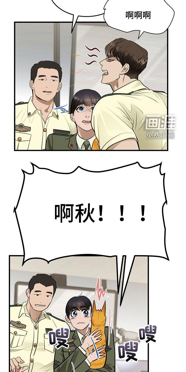 第28章：对猫过敏