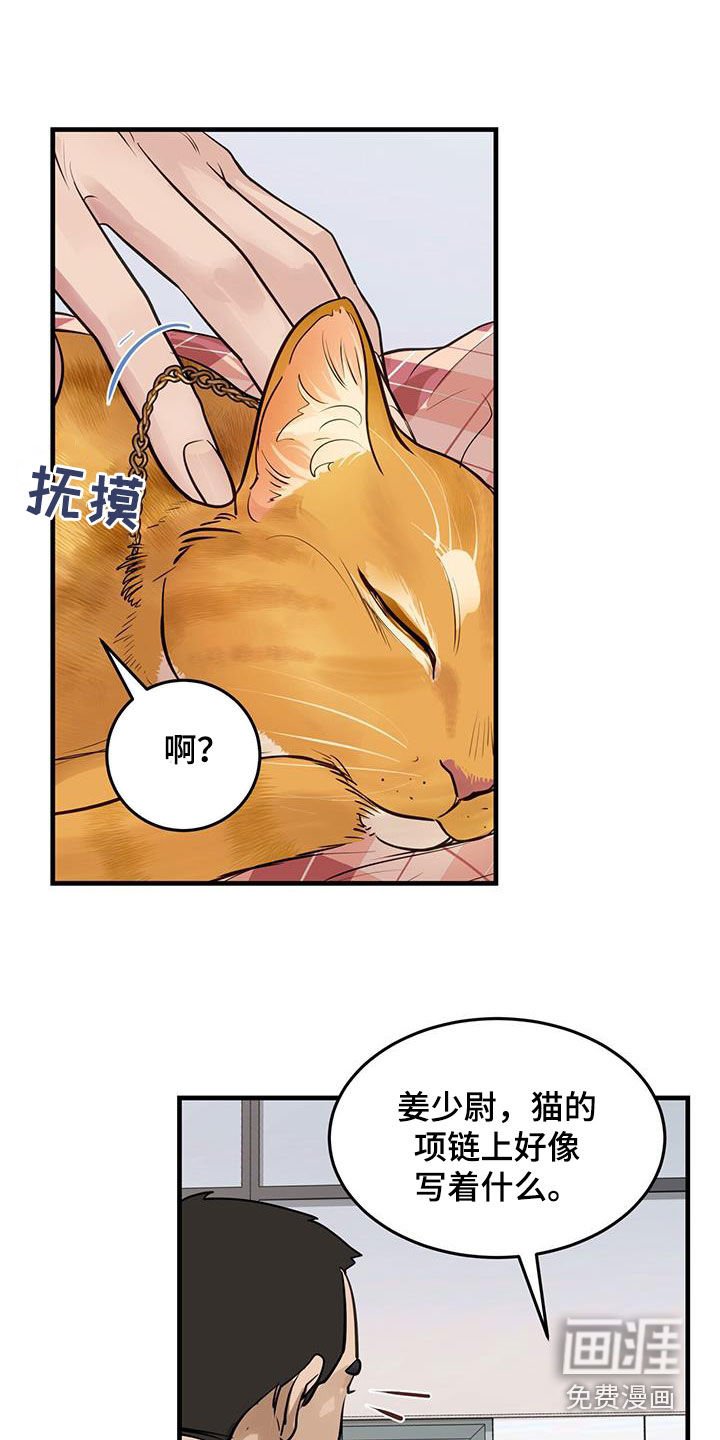 第29章：名牌