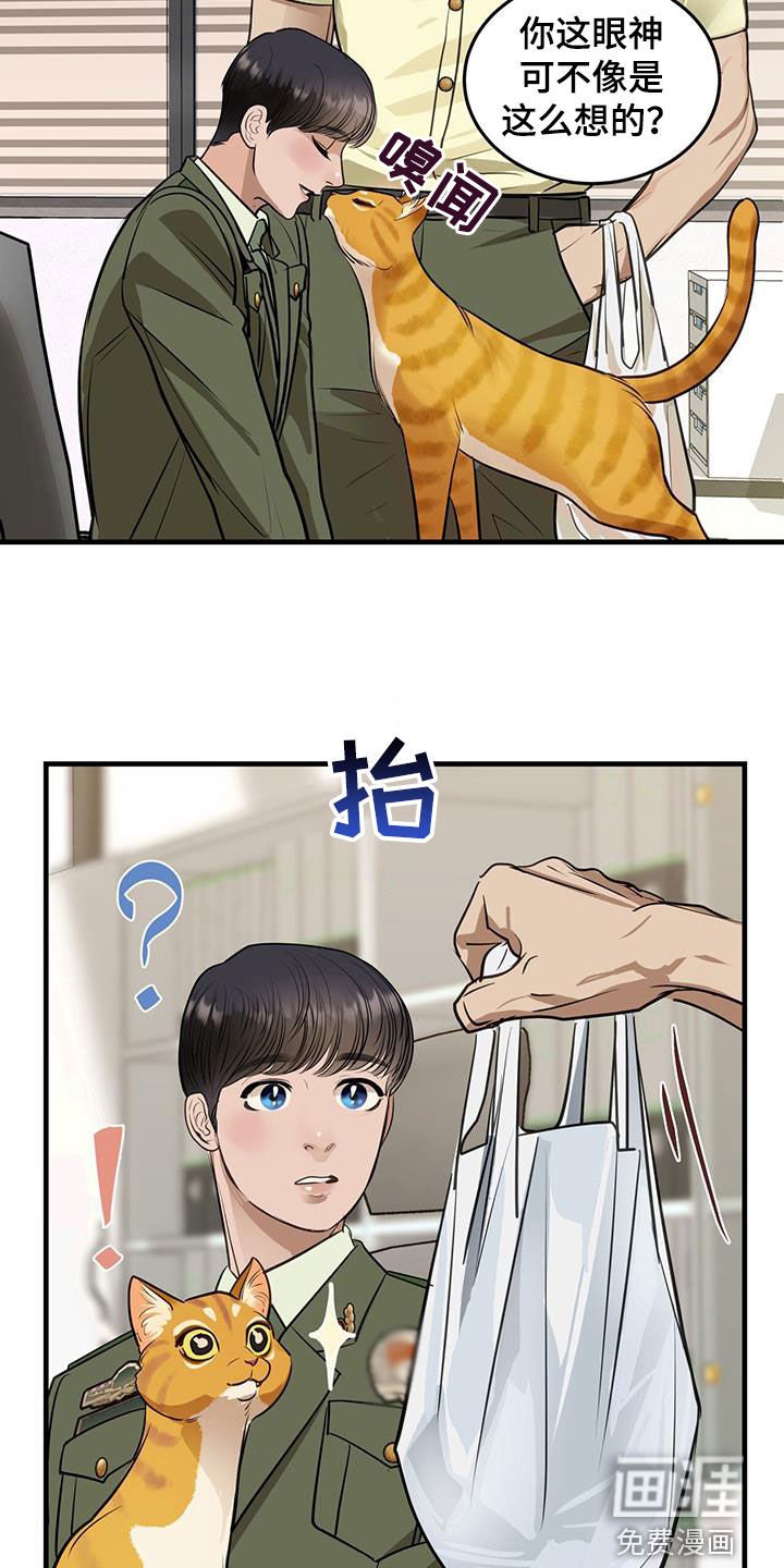 第29章：名牌