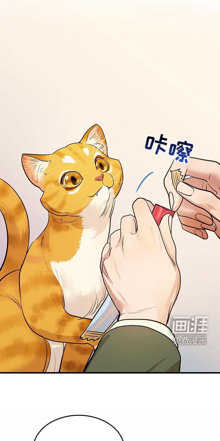 第29章：名牌