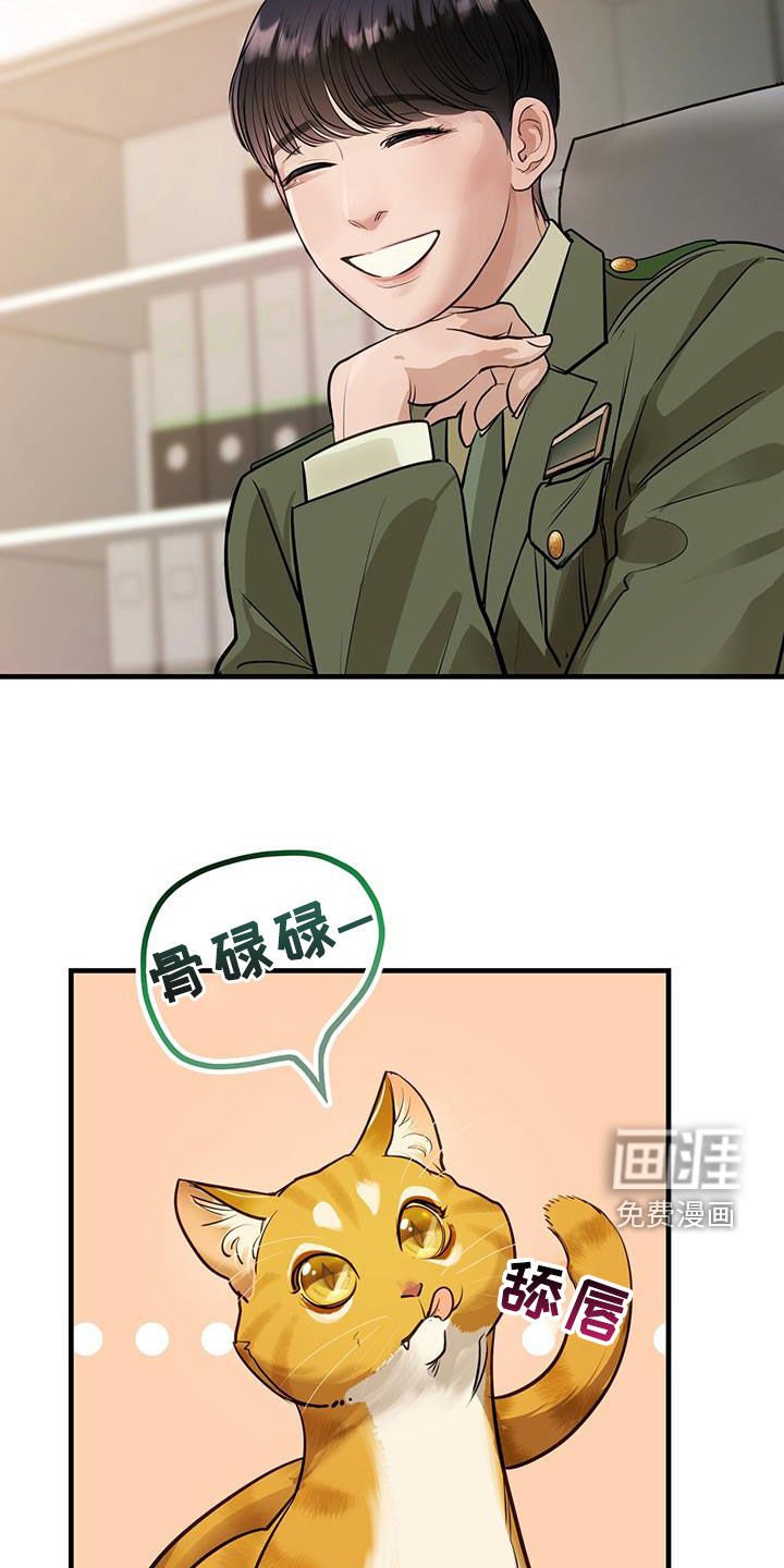 第29章：名牌