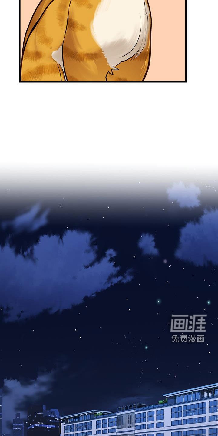 第29章：名牌
