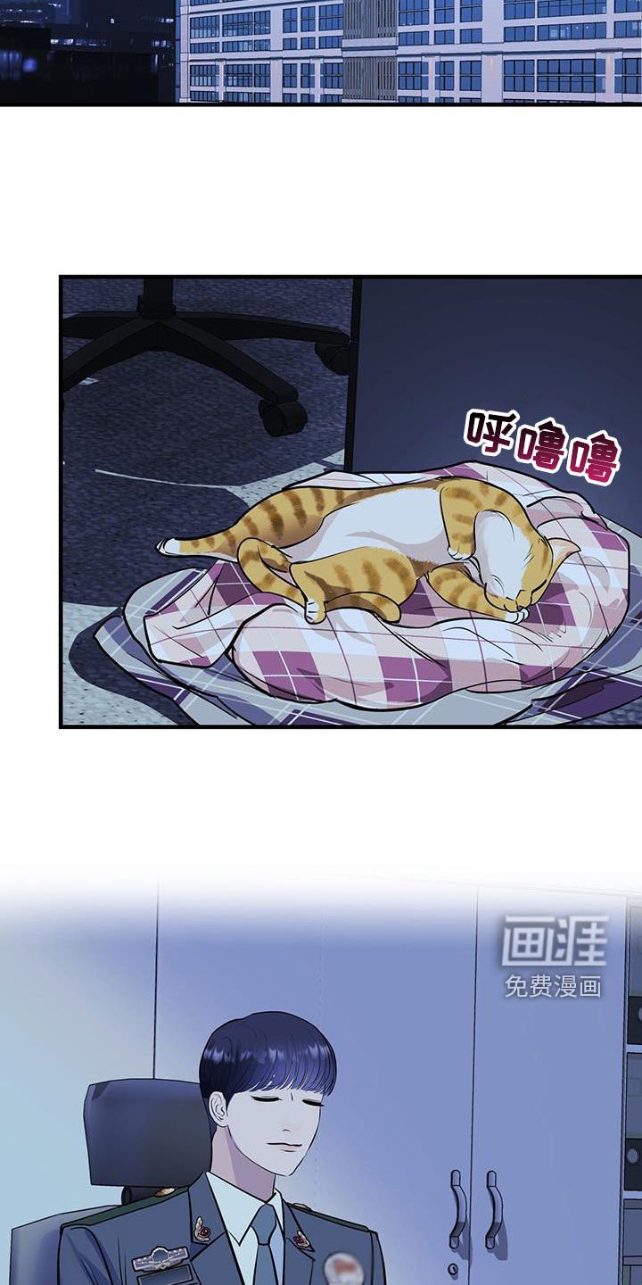 第29章：名牌