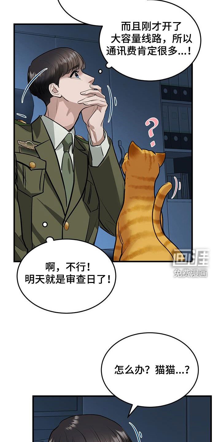 第31章：猫主人