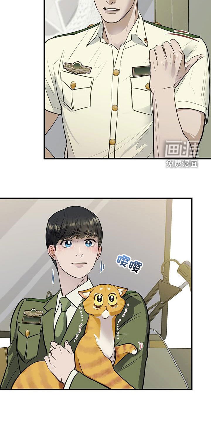 第31章：猫主人