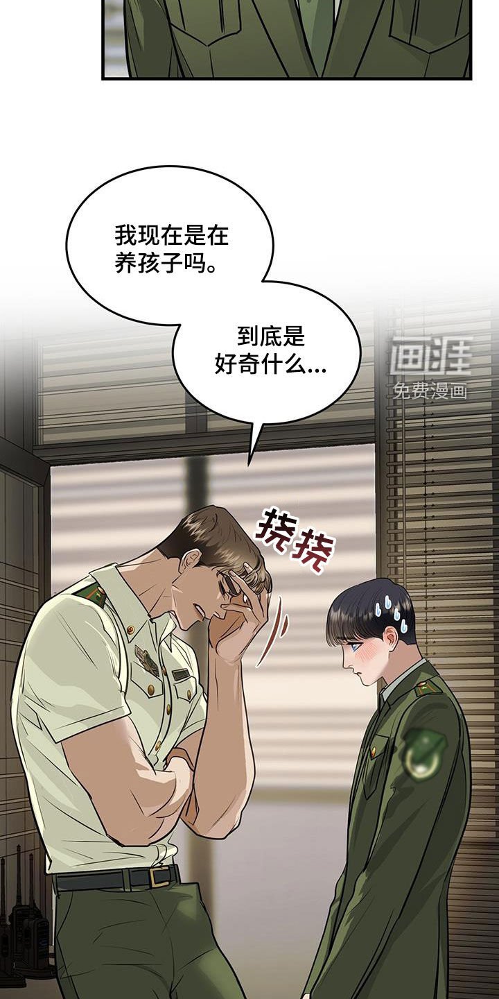 第31章：猫主人