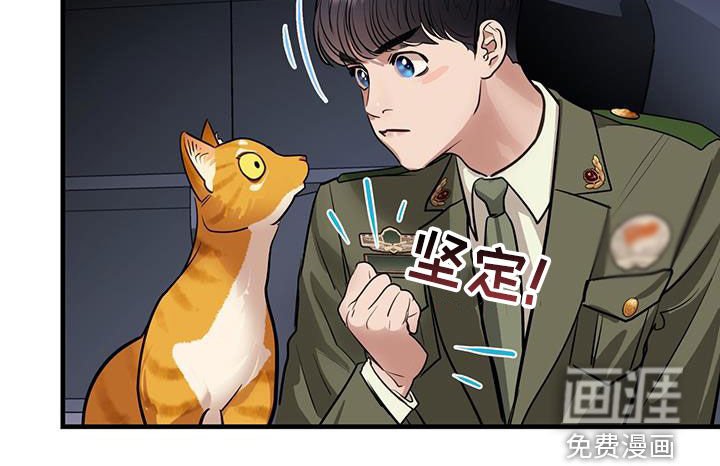 第31章：猫主人