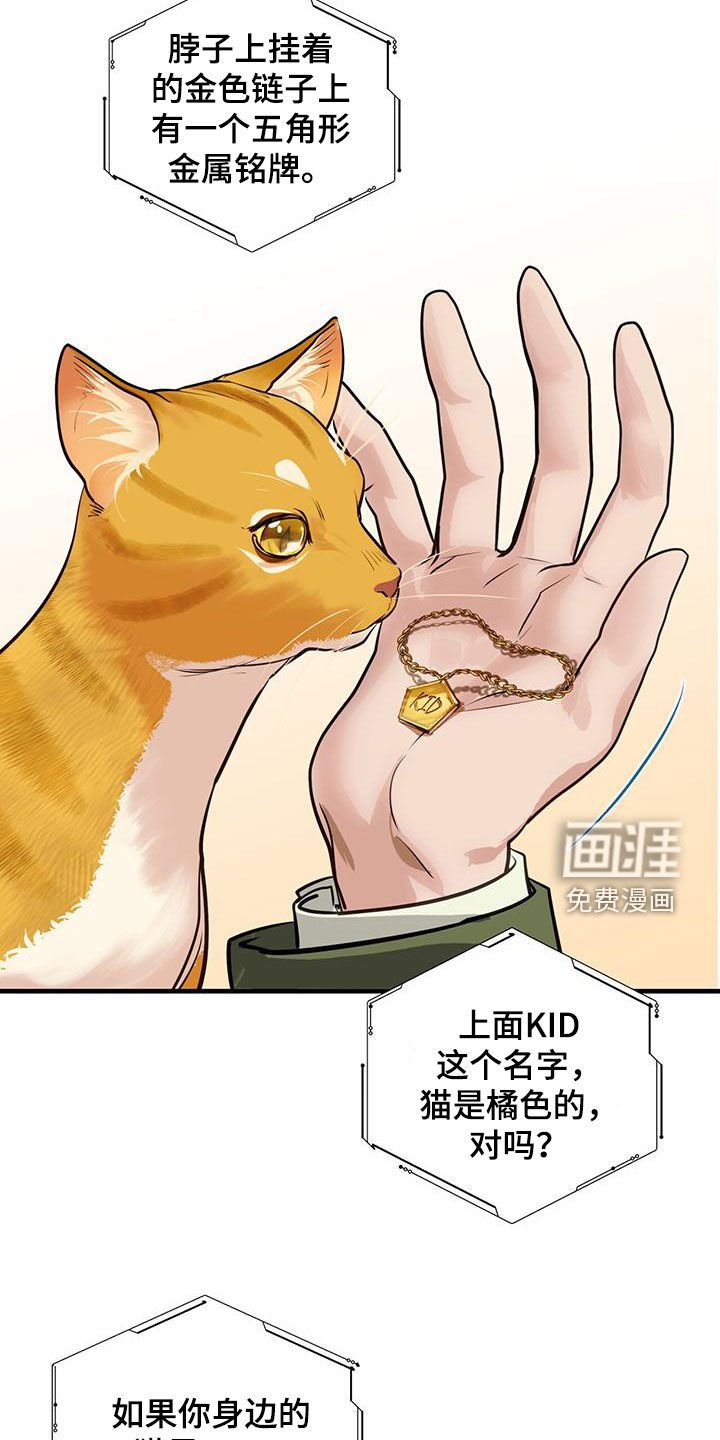 第31章：猫主人