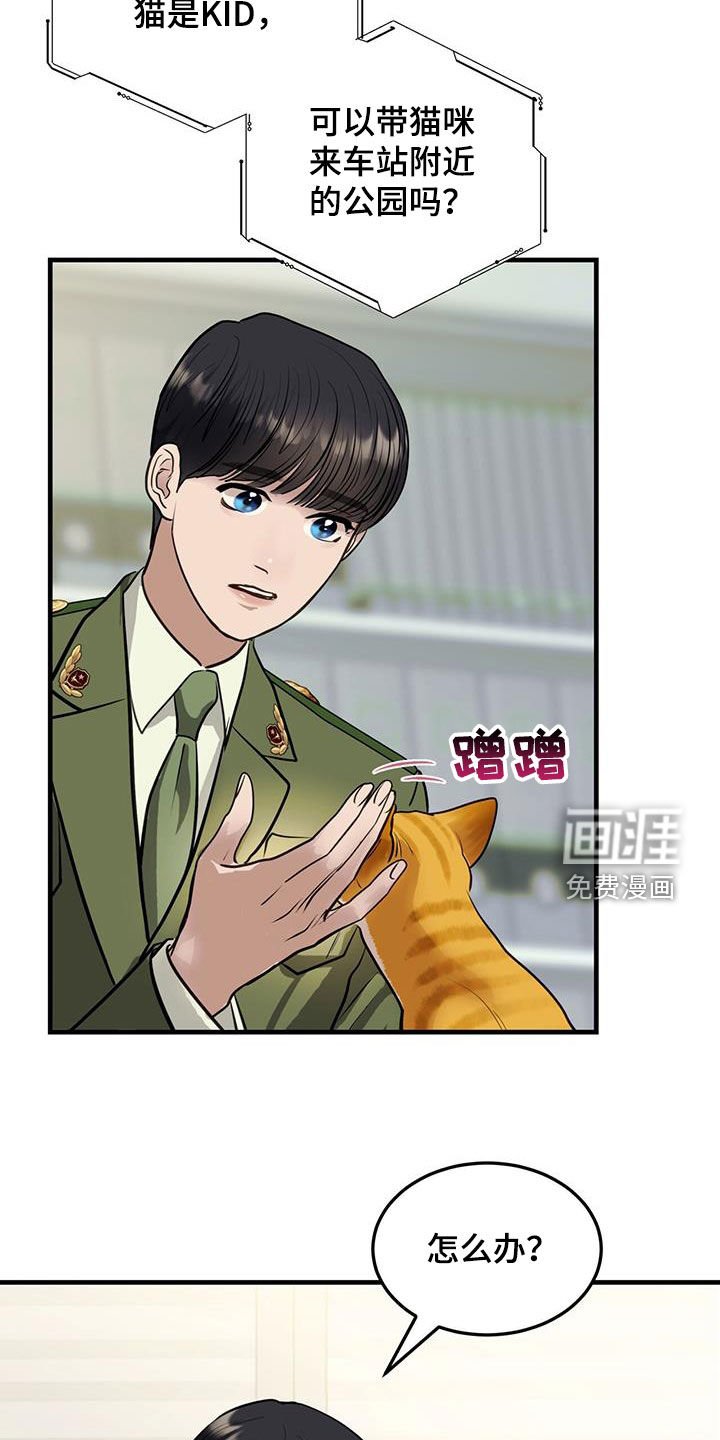 第31章：猫主人