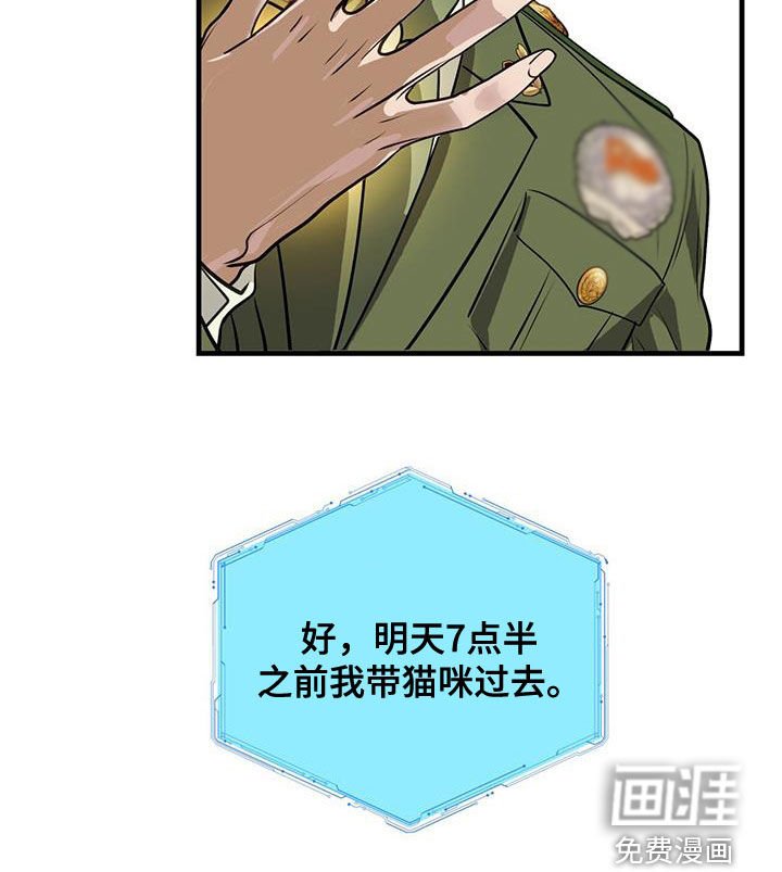 第31章：猫主人