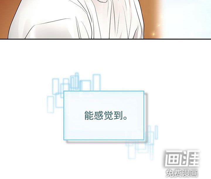 第96章：伪装命令