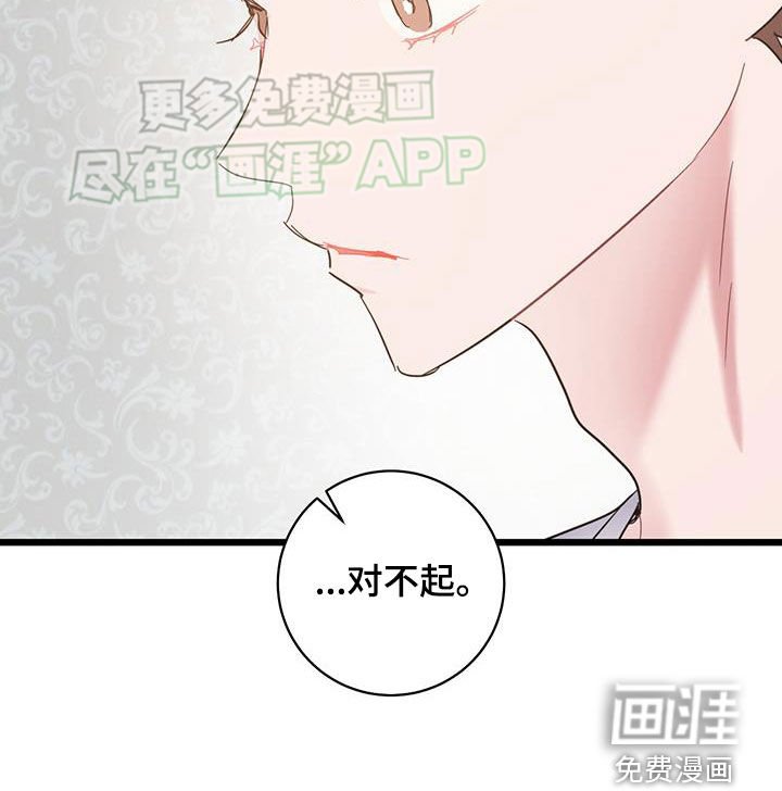 第102章：【第二季】别再道歉了