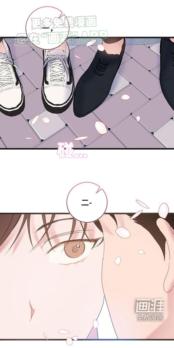 第108章：【第二季】决定不干了