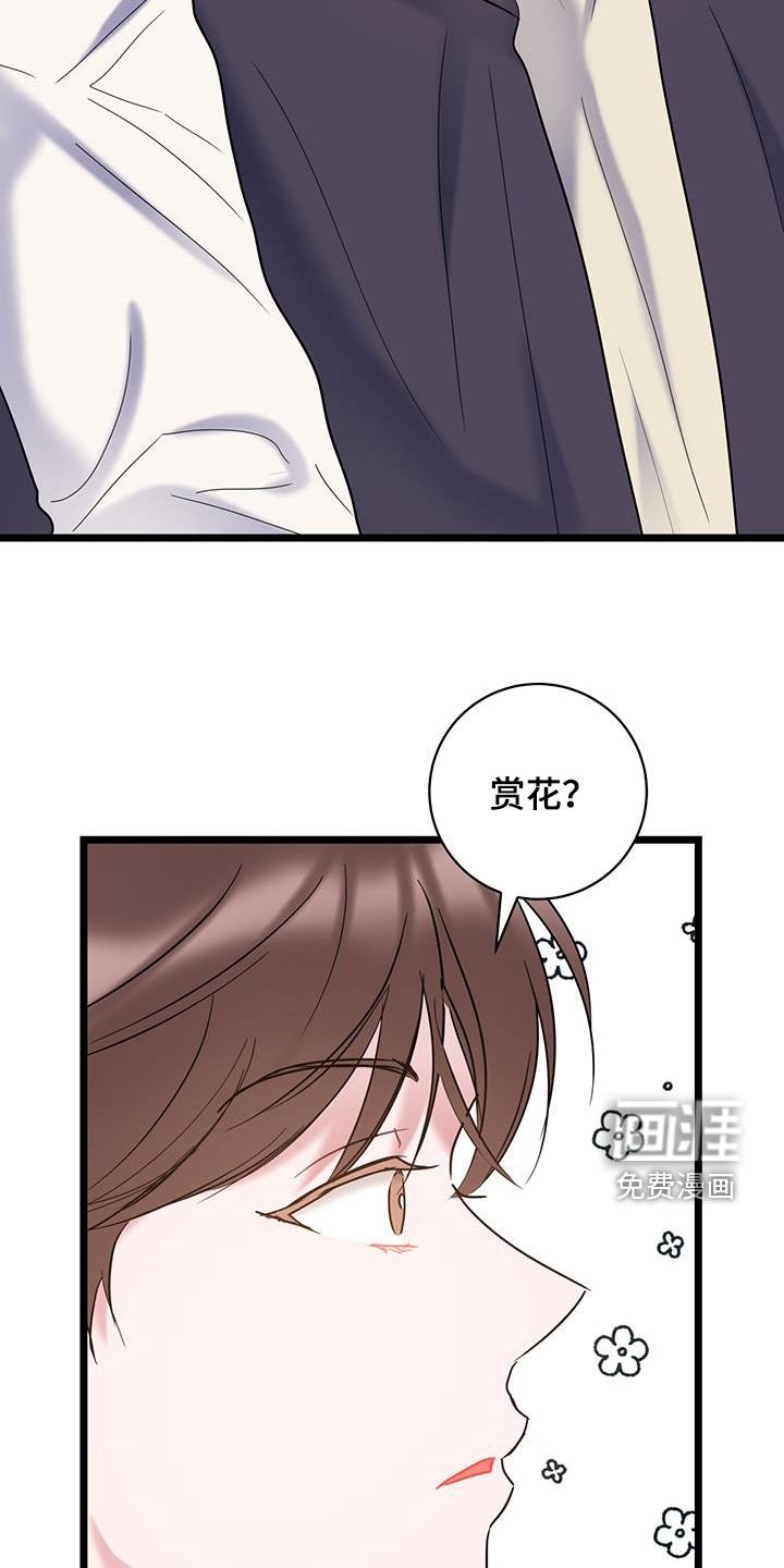 第118章：【第二季】赏花